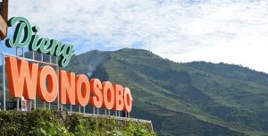 cetak undangan wonosobo